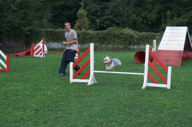 agility 2011-09